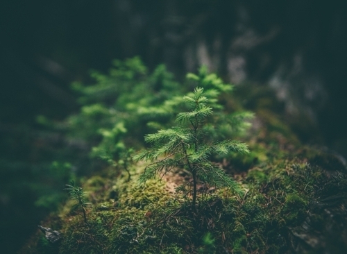 ESG-WVT: Ecologisch ondernemen WVT